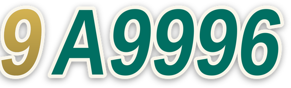9a9996